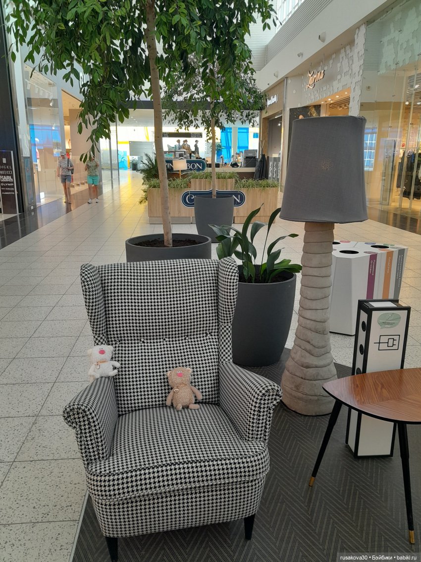 Какао и Молоко поздравляют котиков (фото 9)