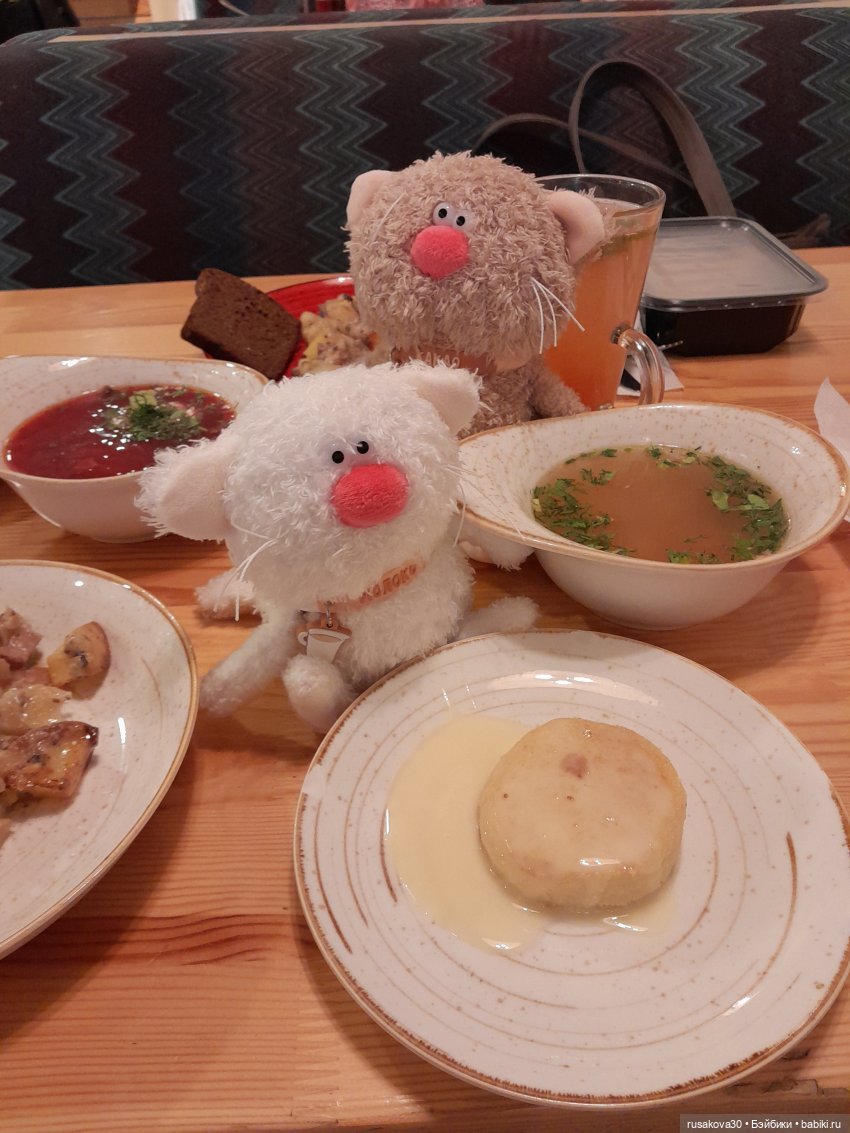 Какао и Молоко поздравляют котиков