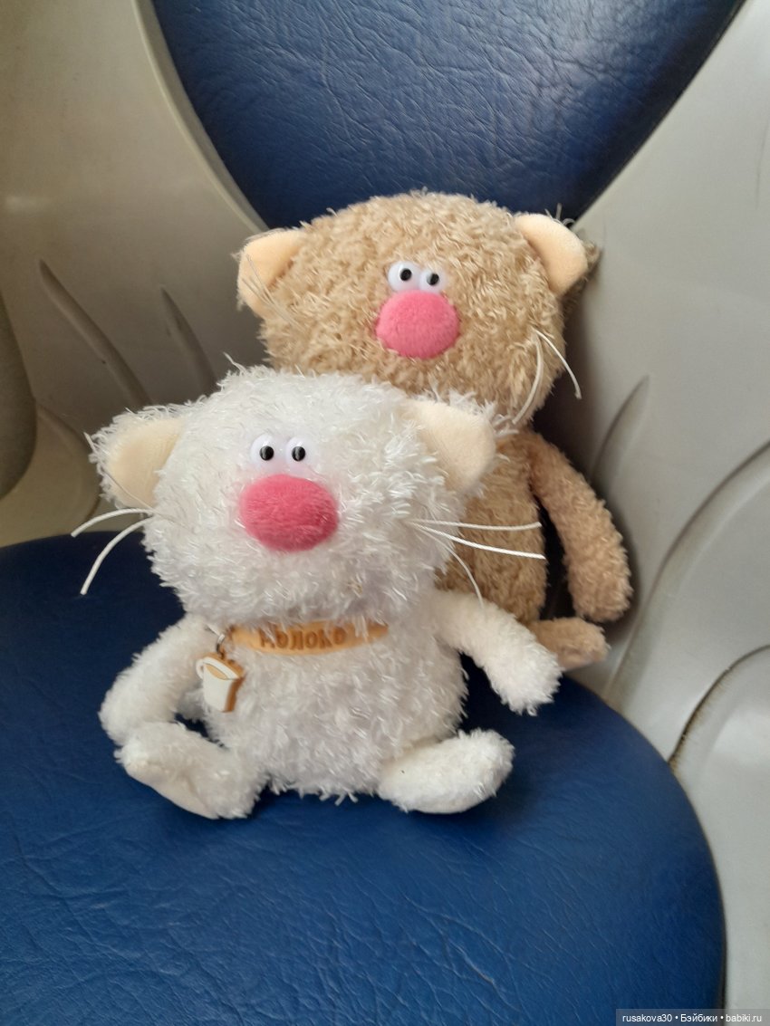 Какао и Молоко поздравляют котиков