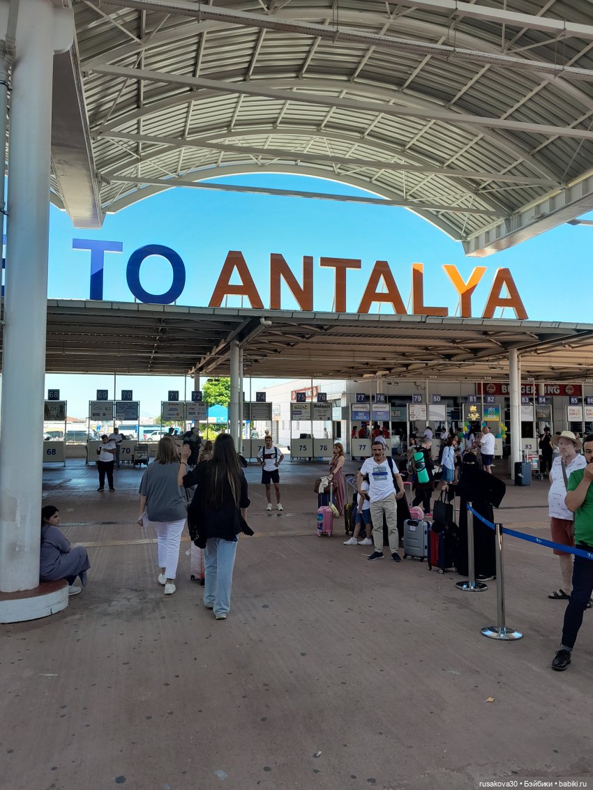 Возвращение домой — Авторские мишки Тедди и друзья: фото