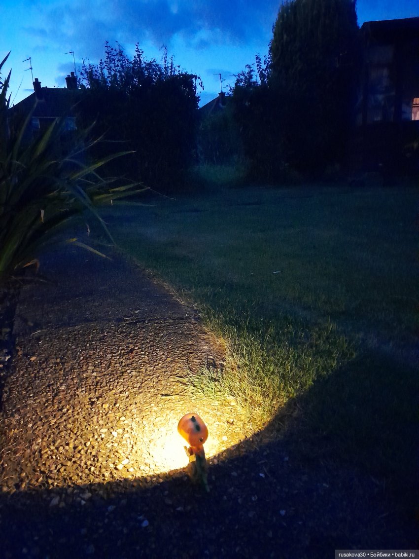 Маленький фонарик по имени Дино (фото 9)