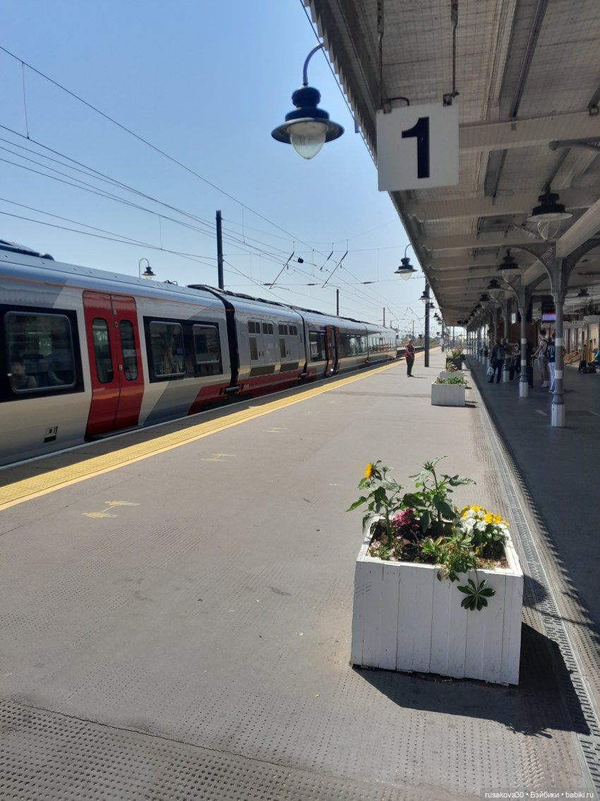 Возвращение домой — Авторские мишки Тедди и друзья: фото