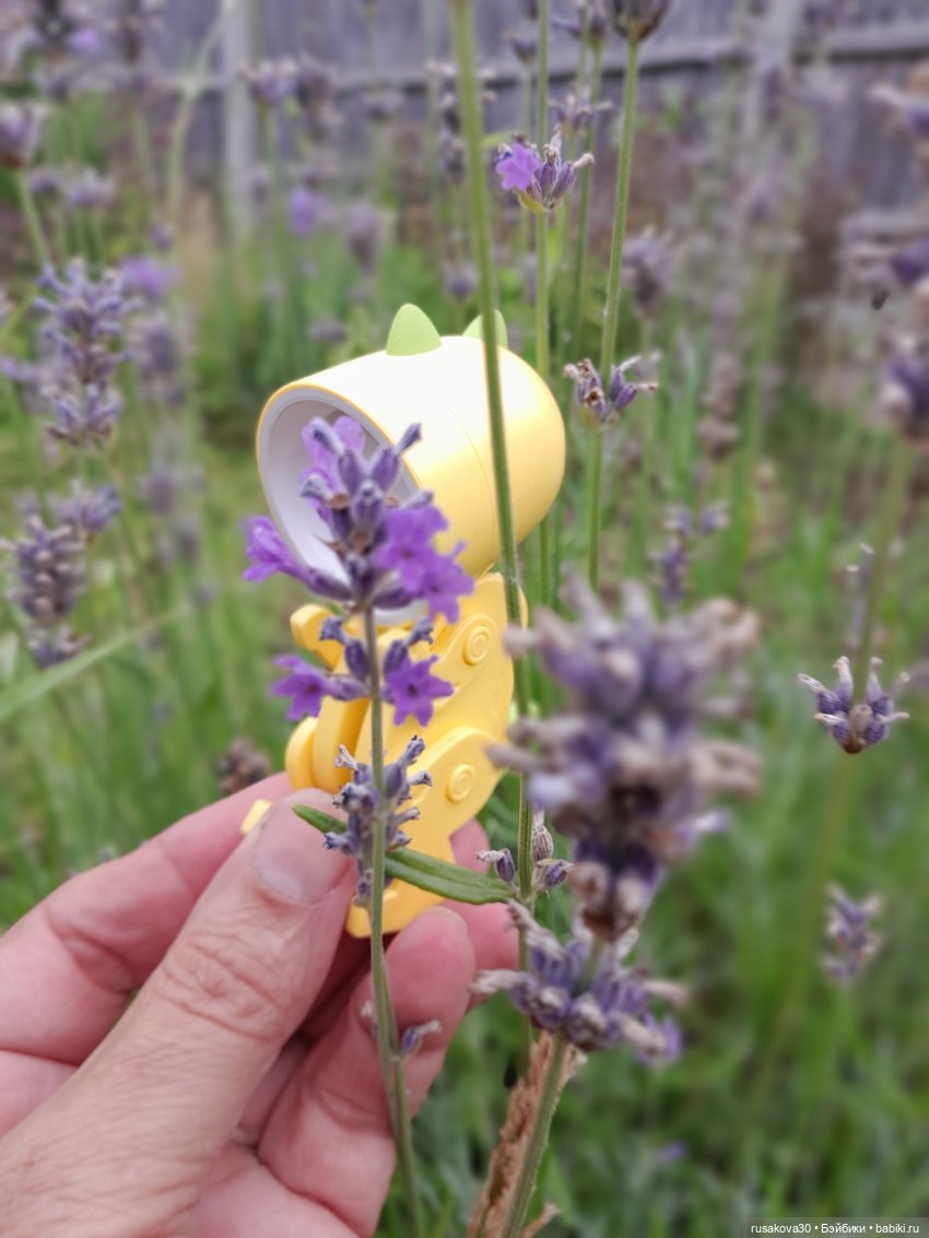 Маленький фонарик по имени Дино (фото 6)