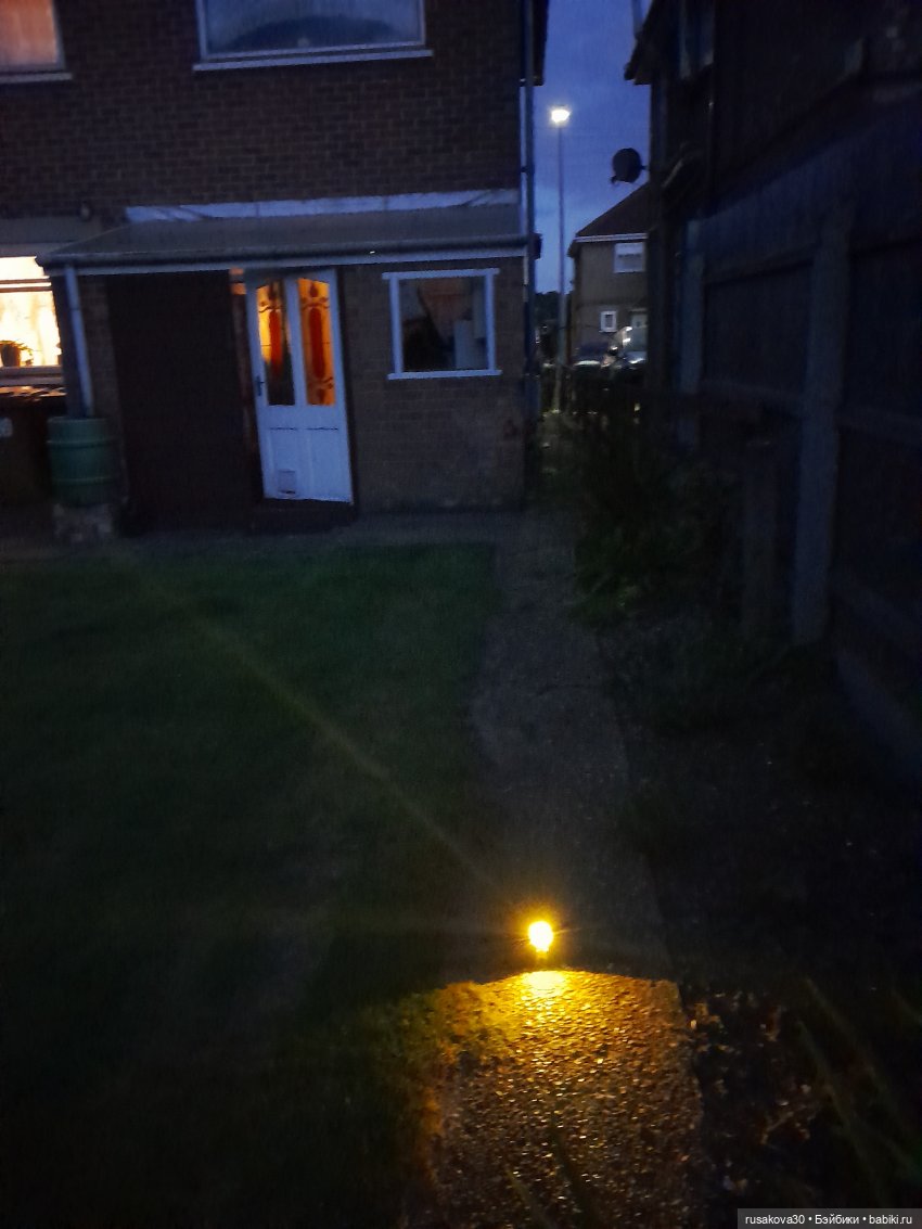 Маленький фонарик по имени Дино (фото 10)