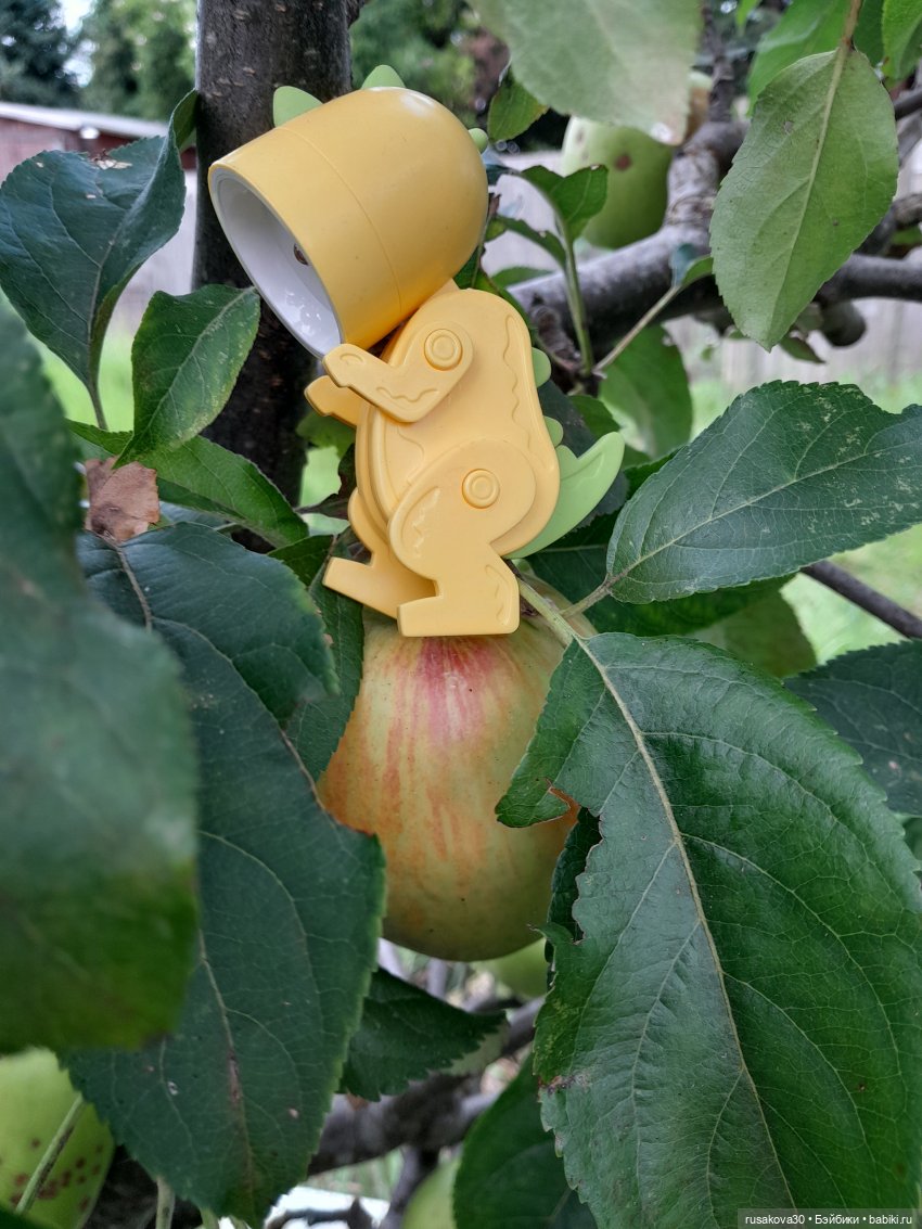 Маленький фонарик по имени Дино (фото 7)