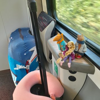 Возвращение домой.