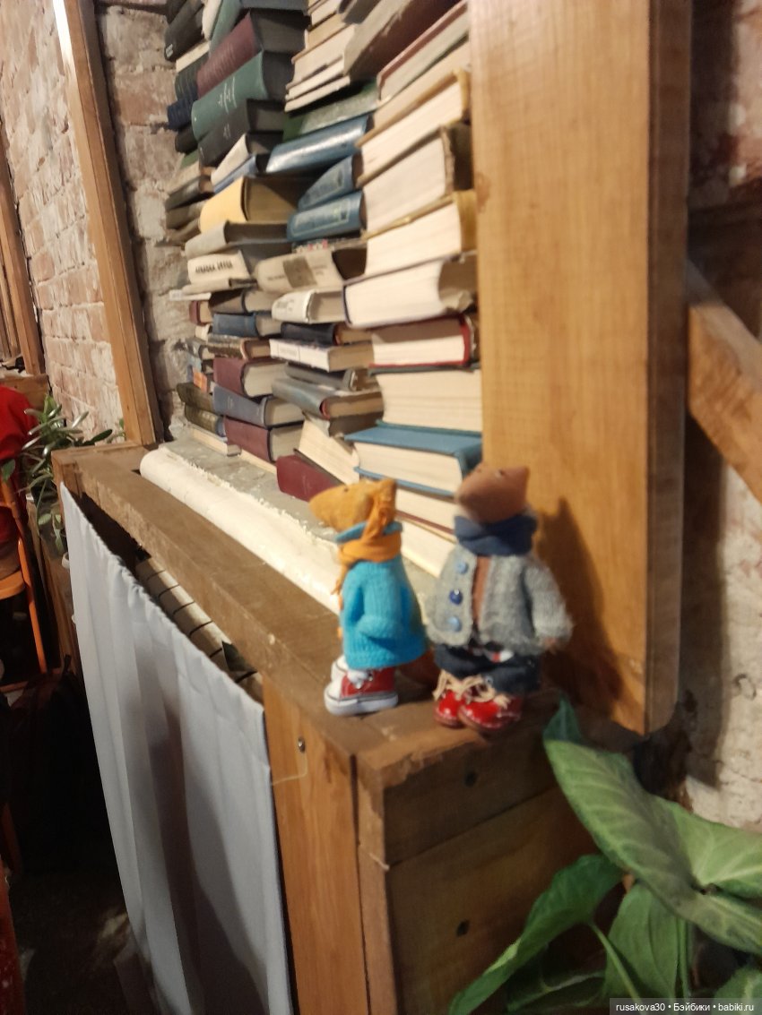 Как лисята на презентации книги побывали