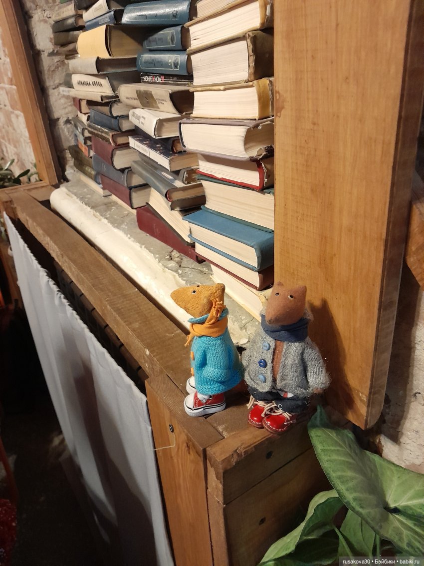 Как лисята на презентации книги побывали