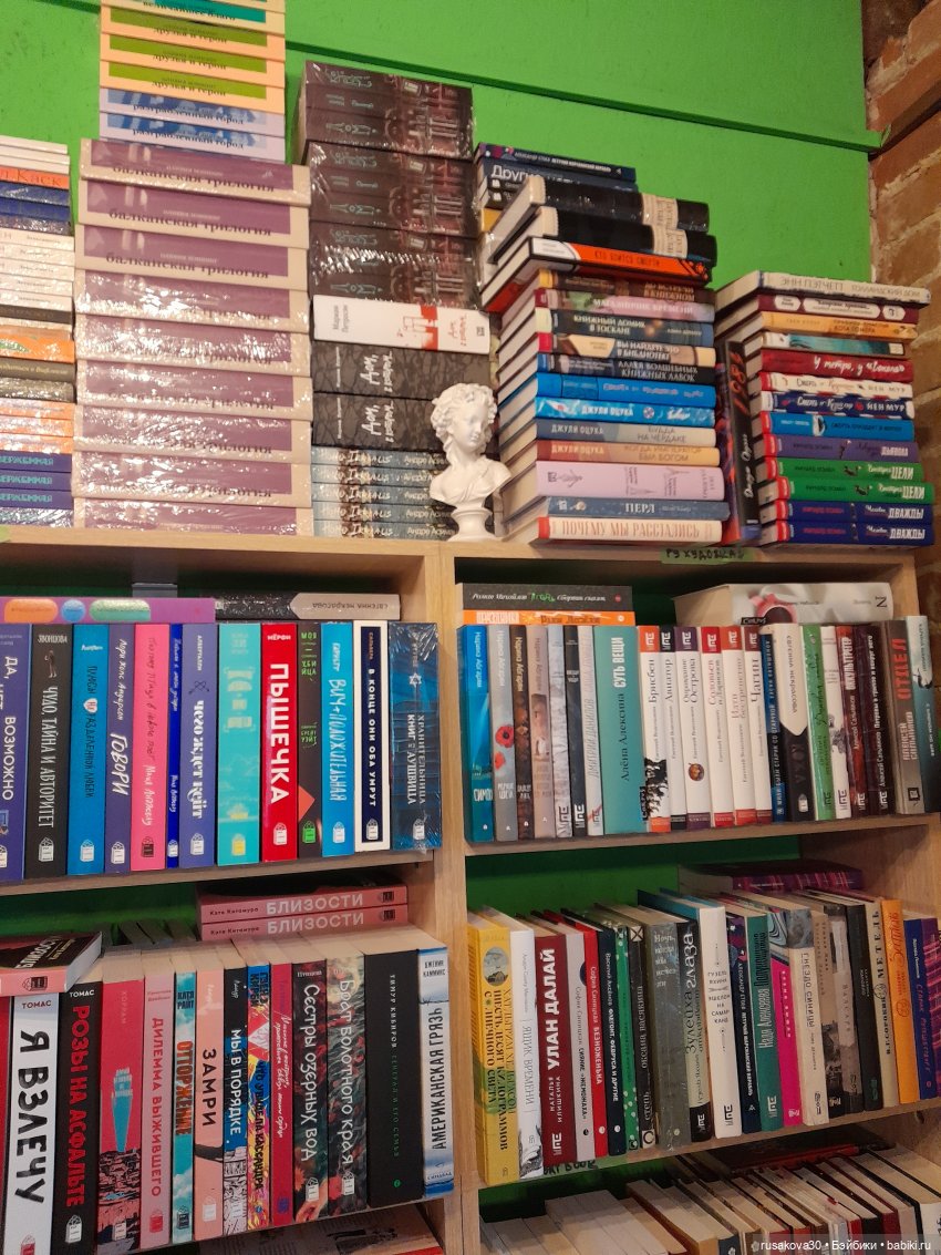 Как лисята на презентации книги побывали