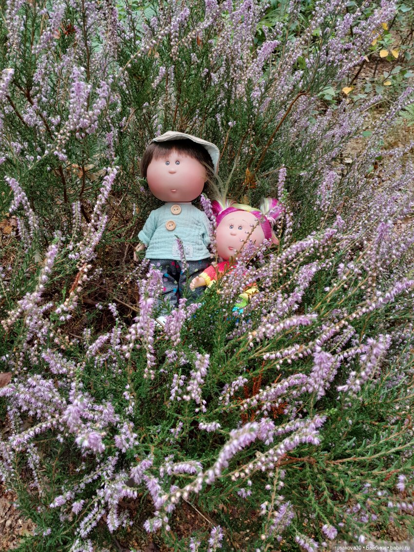 А вот и вереск начал цвести (фото 9)