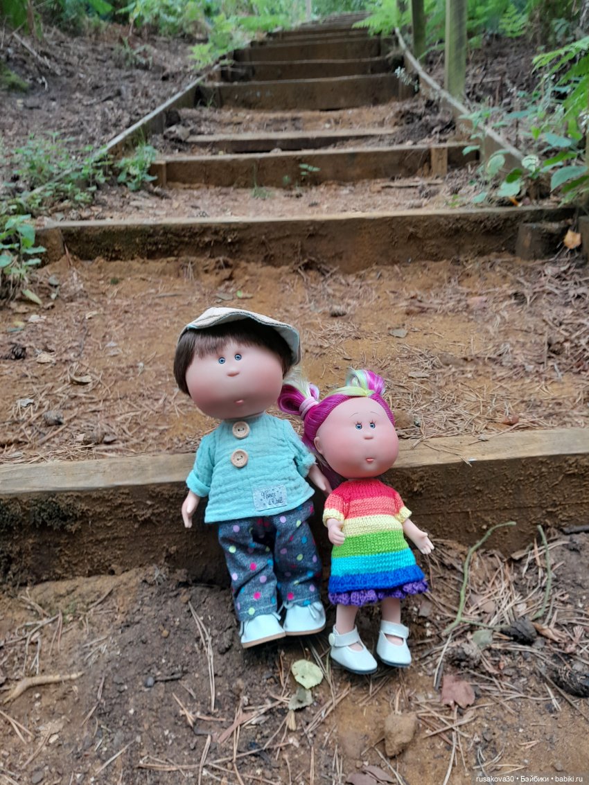 А вот и вереск начал цвести (фото 5)