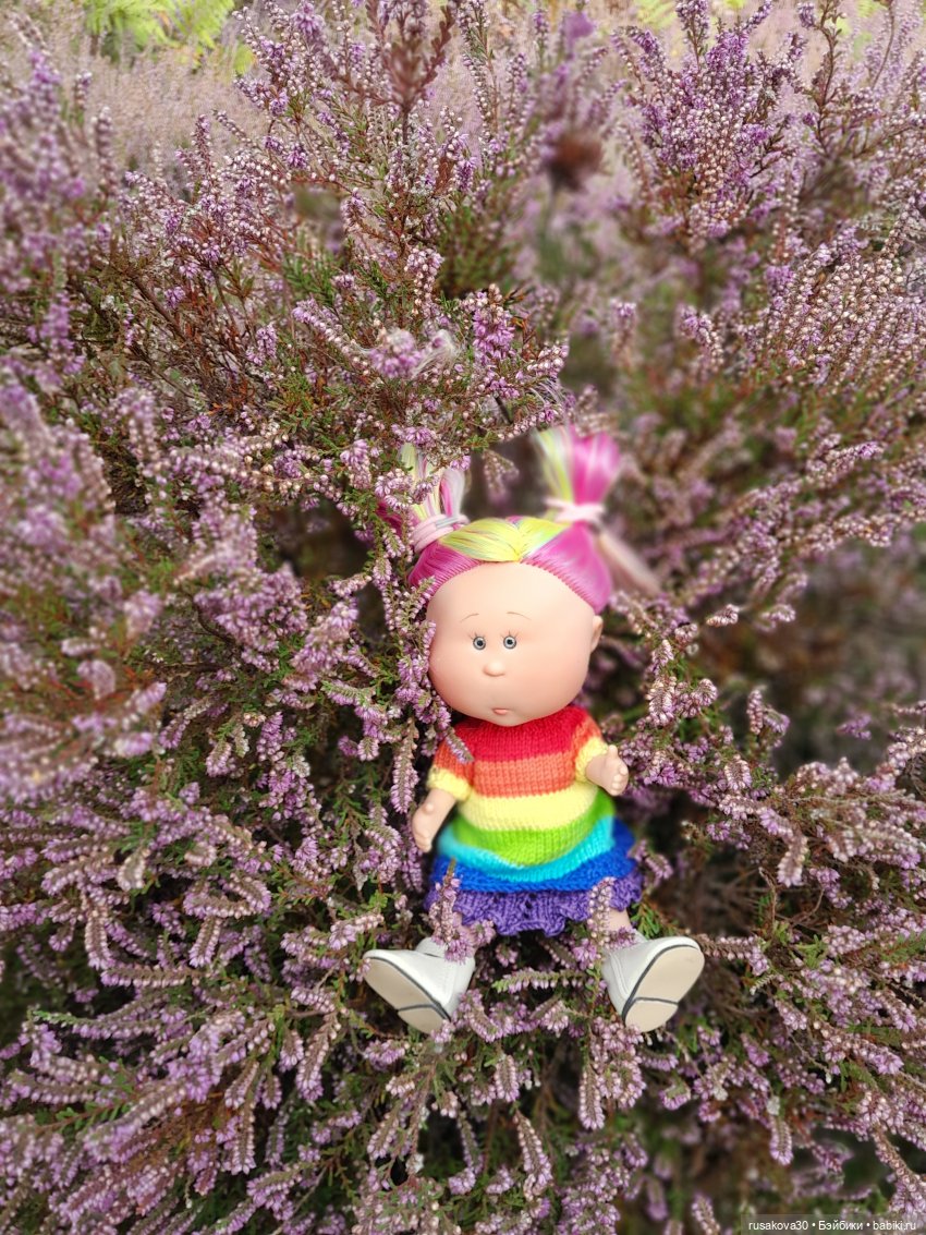 А вот и вереск начал цвести