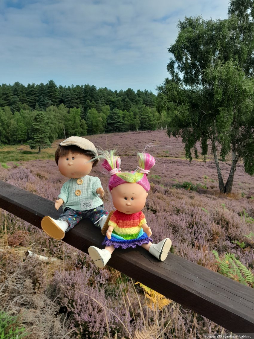 А вот и вереск начал цвести