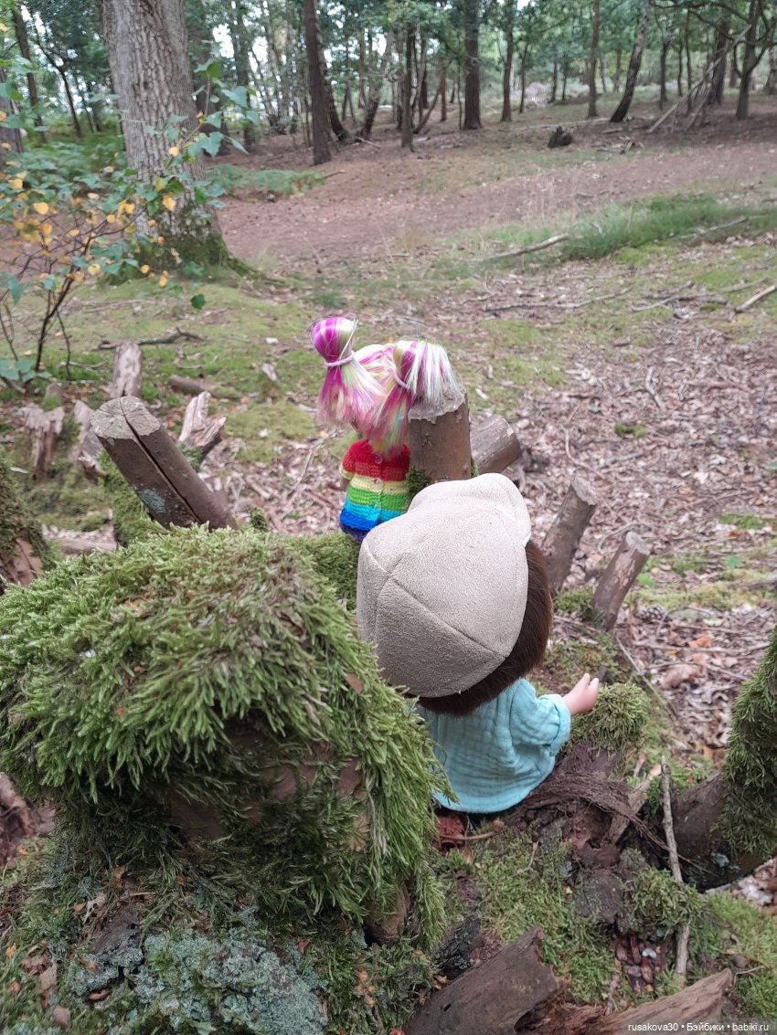 А вот и вереск начал цвести (фото 7)