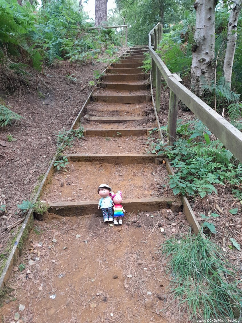 А вот и вереск начал цвести (фото 4)