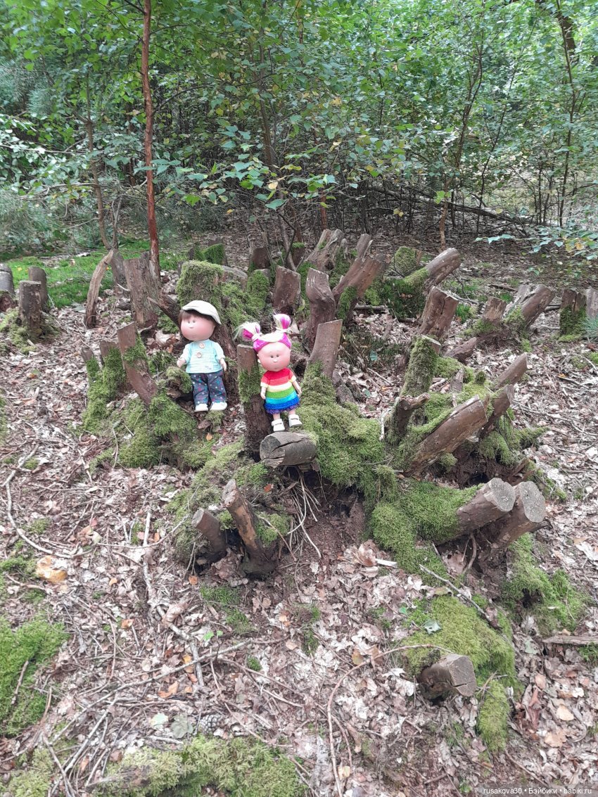 А вот и вереск начал цвести (фото 6)