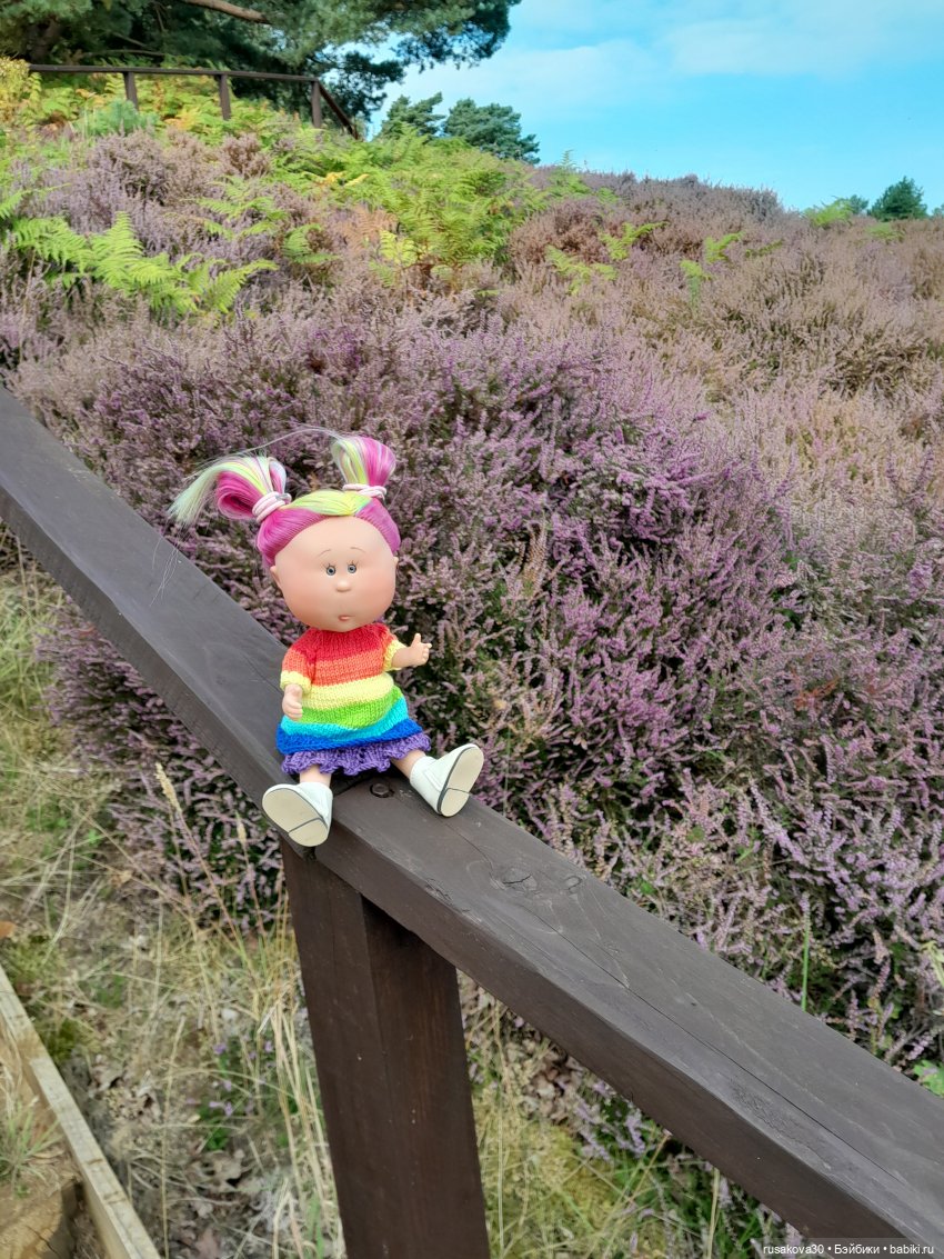 А вот и вереск начал цвести