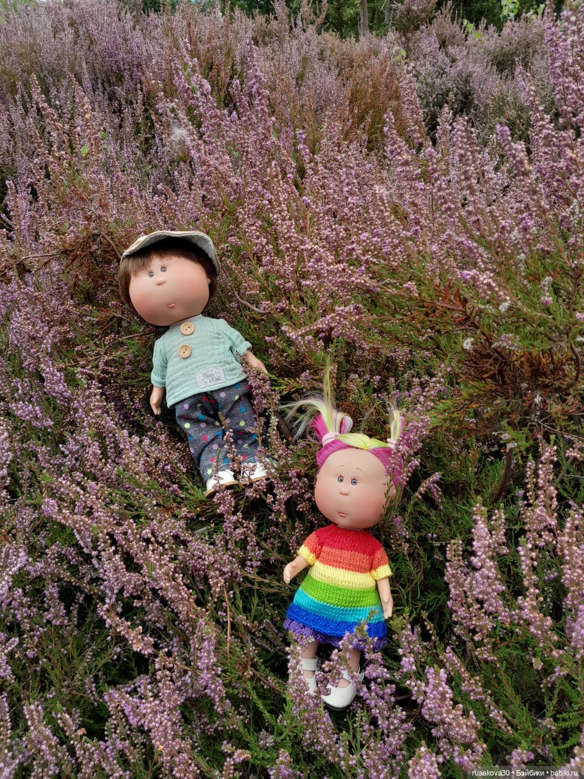 А вот и вереск начал цвести