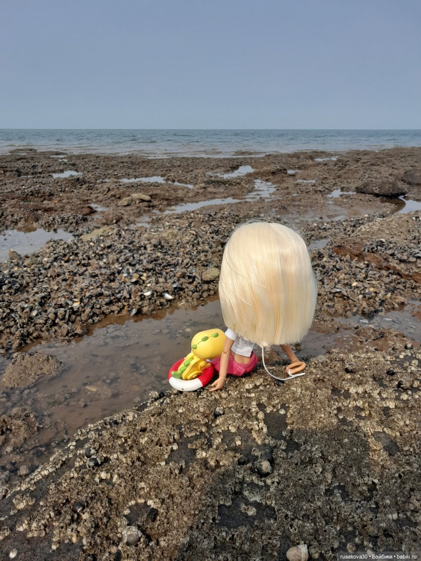 Нюша едет к морю — Куклы Blythe TBL (ТБЛ) и аналоги: Блюх (фото 6)