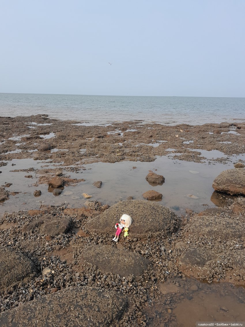 Нюша едет к морю — Куклы Blythe TBL (ТБЛ) и аналоги: Блюх (фото 7)