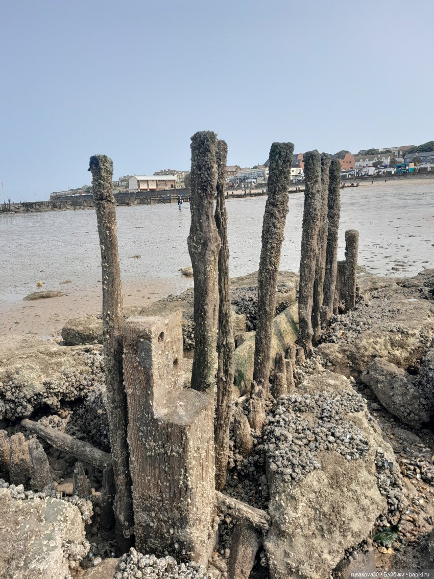 Нюша едет к морю — Куклы Blythe TBL (ТБЛ) и аналоги: Блюх