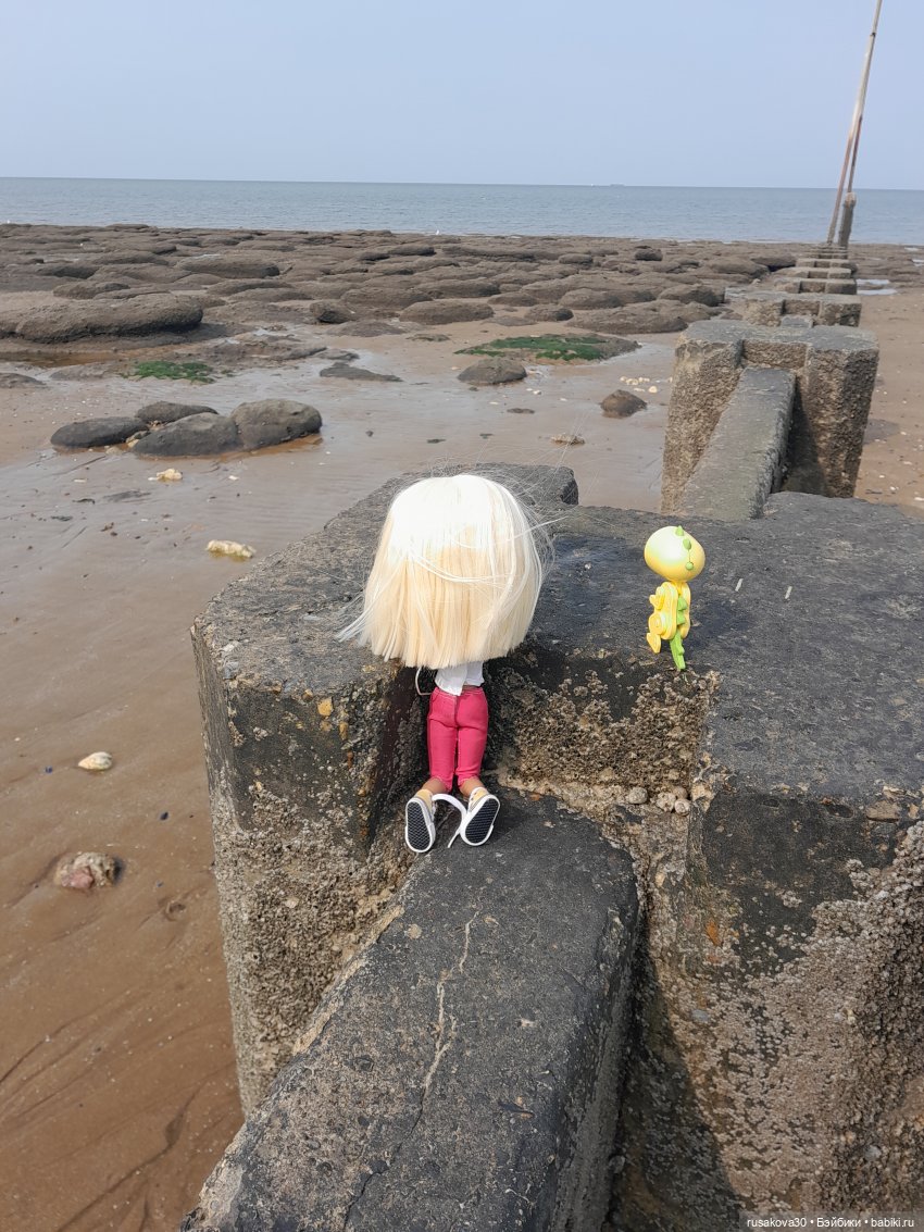 Нюша едет к морю — Куклы Blythe TBL (ТБЛ) и аналоги: Блюх (фото 8)