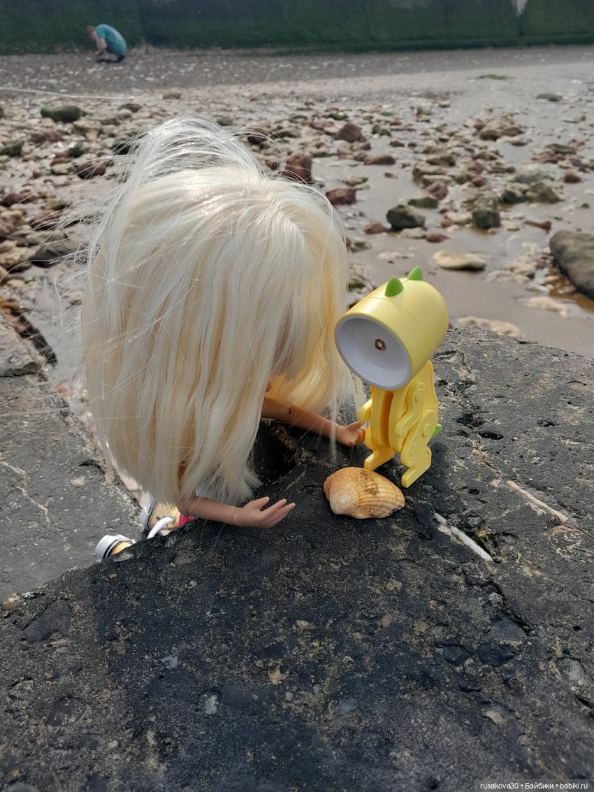 Нюша едет к морю — Куклы Blythe TBL (ТБЛ) и аналоги: Блюх (фото 9)