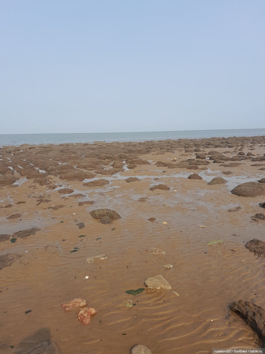 Нюша едет к морю — Куклы Blythe TBL (ТБЛ) и аналоги: Блюх