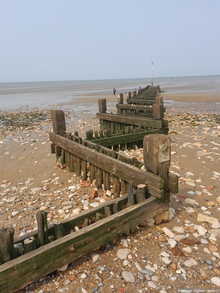 Нюша едет к морю — Куклы Blythe TBL (ТБЛ) и аналоги: Блюх