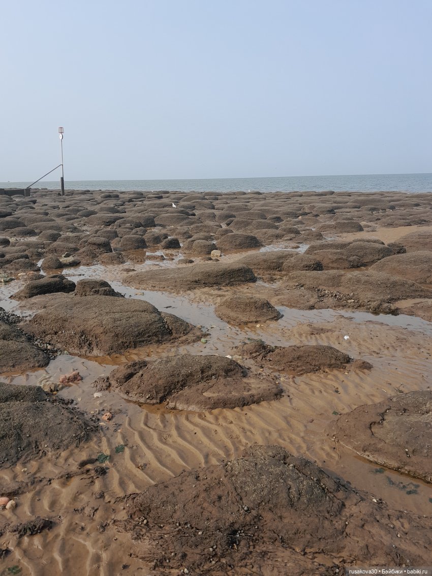 Нюша едет к морю — Куклы Blythe TBL (ТБЛ) и аналоги: Блюх (фото 3)