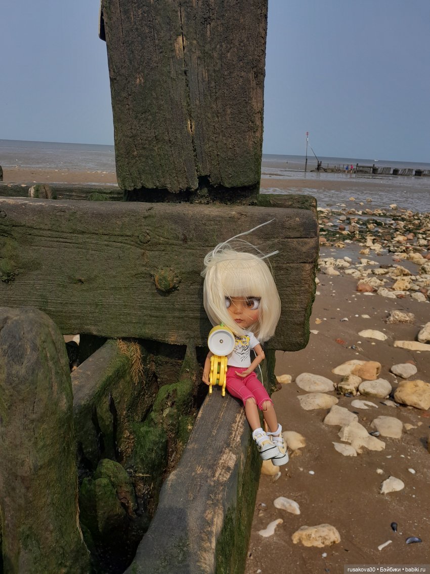 Нюша едет к морю — Куклы Blythe TBL (ТБЛ) и аналоги: Блюх