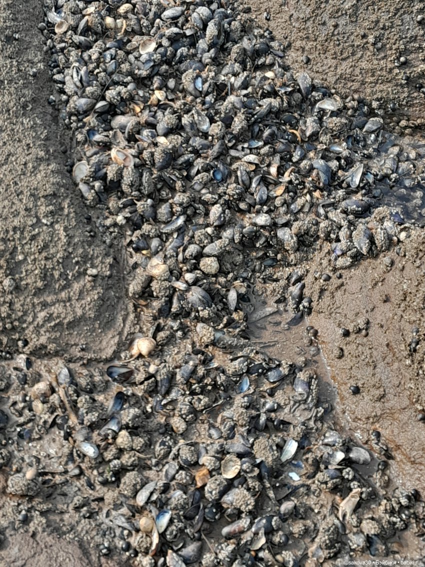 Нюша едет к морю — Куклы Blythe TBL (ТБЛ) и аналоги: Блюх (фото 5)