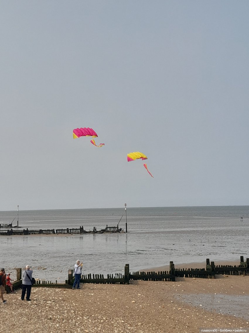 Нюша едет к морю — Куклы Blythe TBL (ТБЛ) и аналоги: Блюх