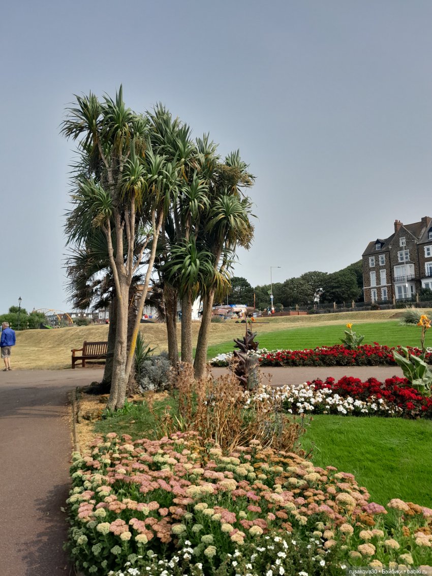 Нюша едет к морю — Куклы Blythe TBL (ТБЛ) и аналоги: Блюх