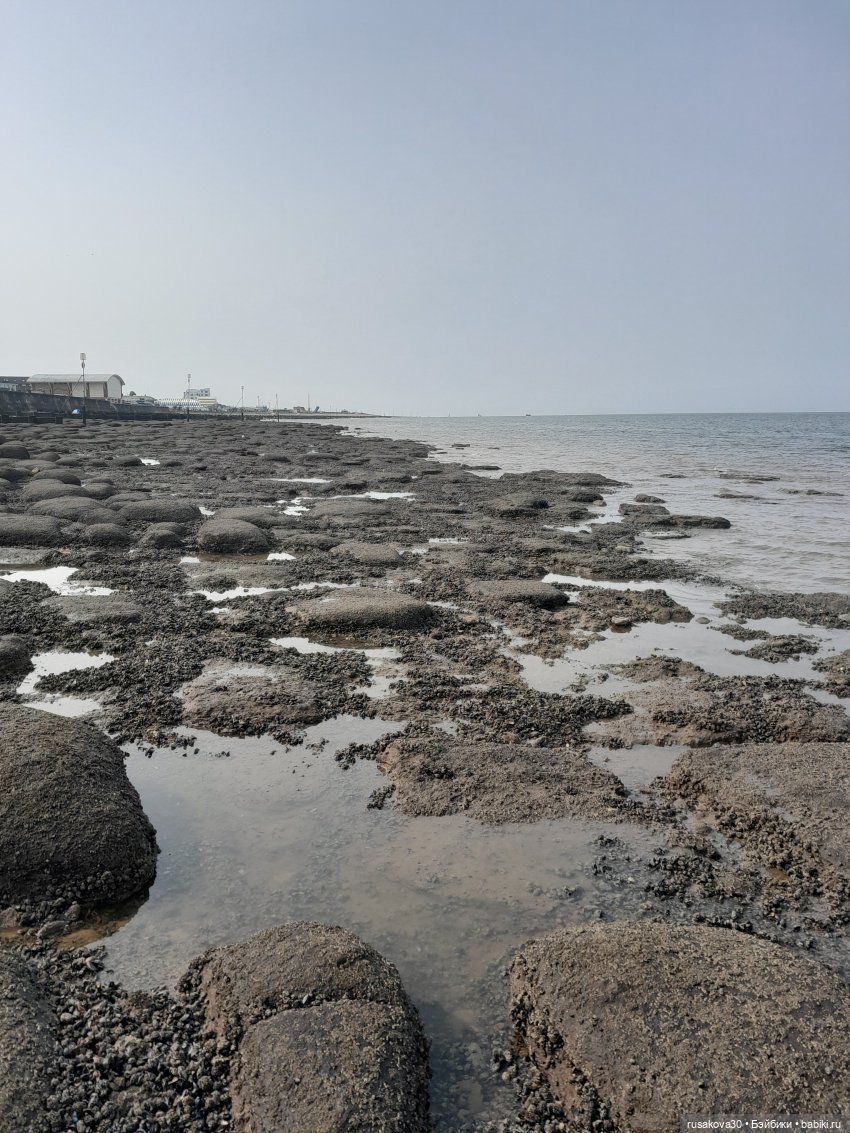 Нюша едет к морю — Куклы Blythe TBL (ТБЛ) и аналоги: Блюх (фото 4)