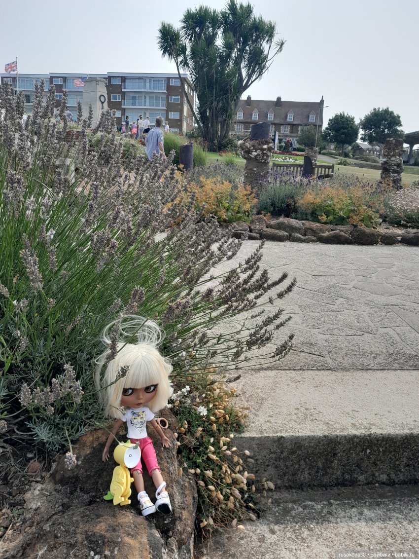 Нюша едет к морю — Куклы Blythe TBL (ТБЛ) и аналоги: Блюх