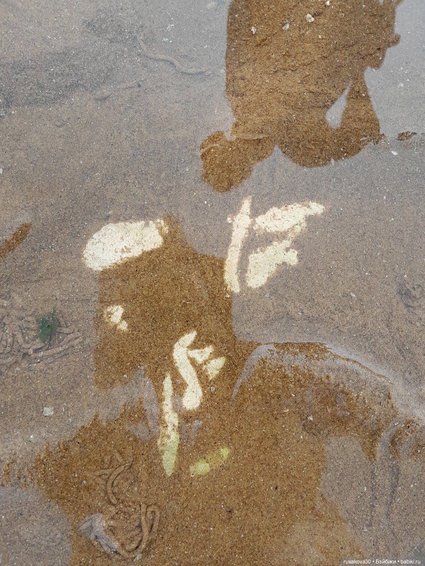 Нюша едет к морю — Куклы Blythe TBL (ТБЛ) и аналоги: Блюх