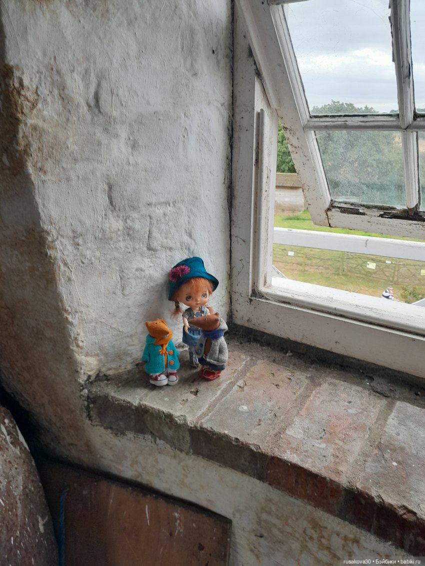 Баська и лисята на мельнице-музее Грейт-Бирчем (фото 5)