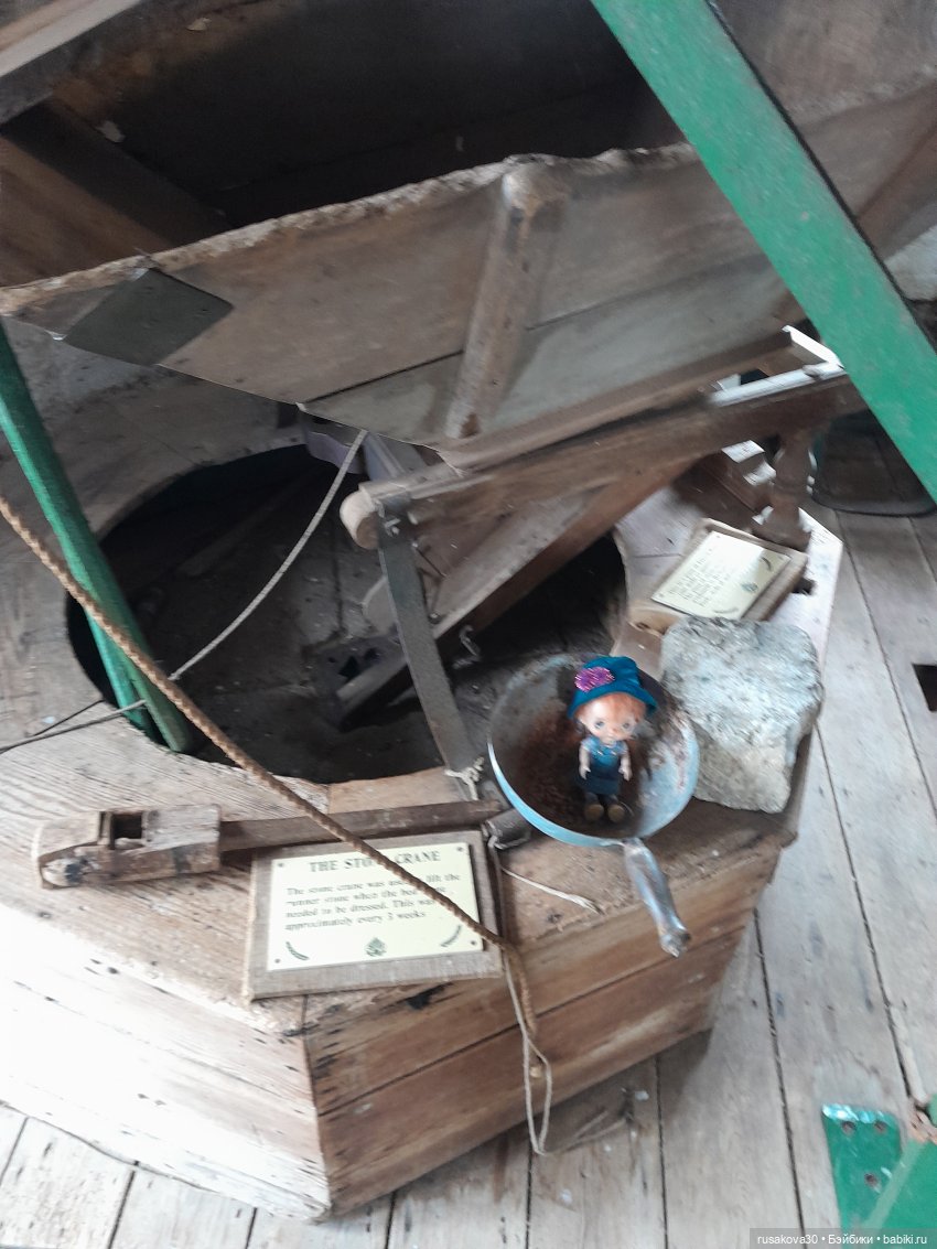 Баська и лисята на мельнице-музее Грейт-Бирчем