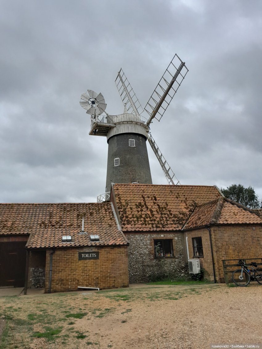 Баська и лисята на мельнице-музее Грейт-Бирчем