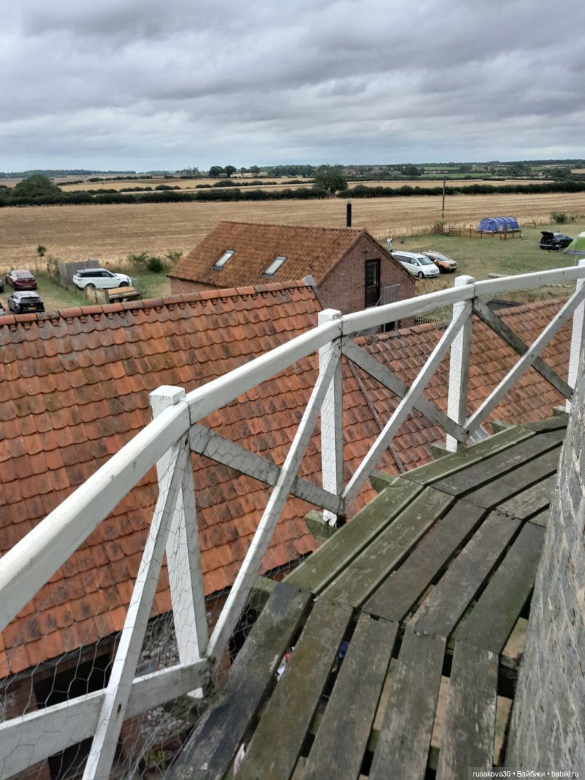 Баська и лисята на мельнице-музее Грейт-Бирчем (фото 3)