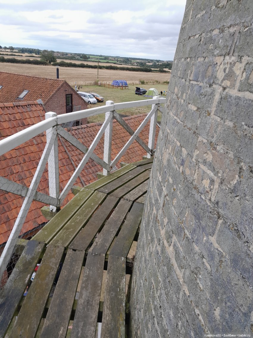 Баська и лисята на мельнице-музее Грейт-Бирчем (фото 7)