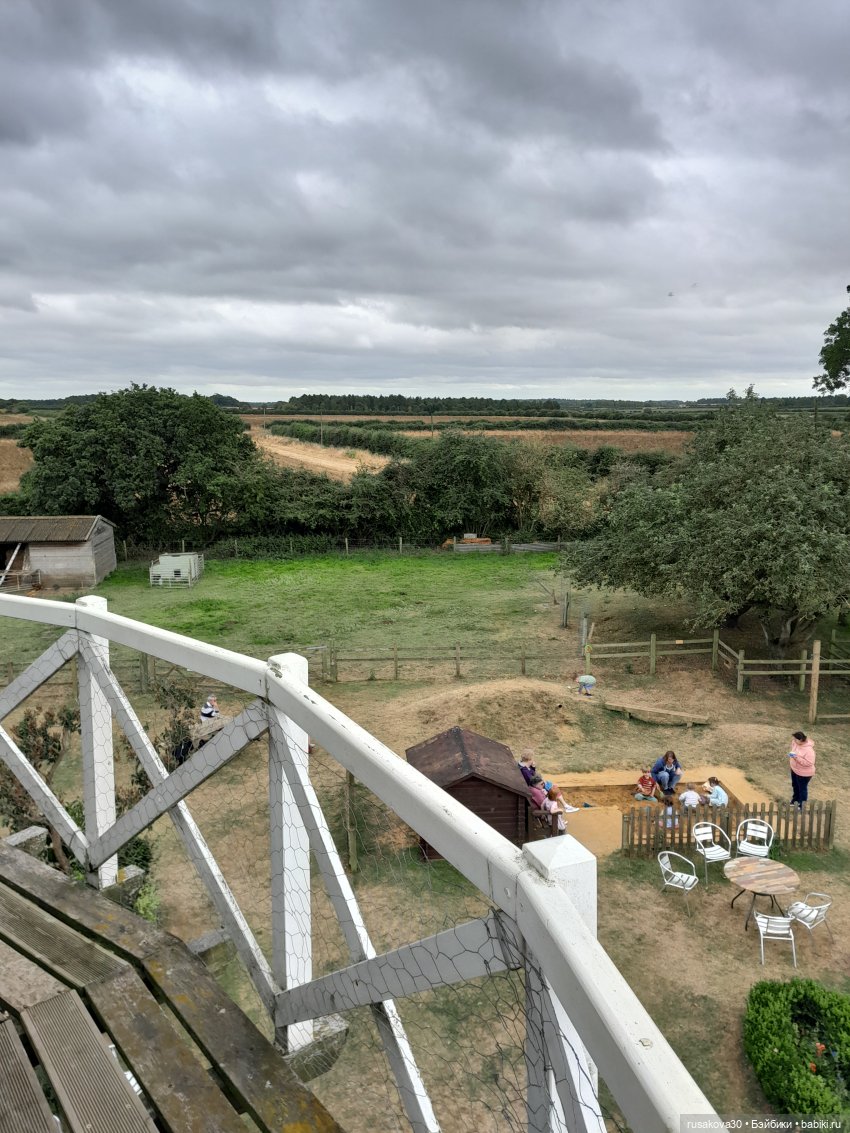 Баська и лисята на мельнице-музее Грейт-Бирчем (фото 4)