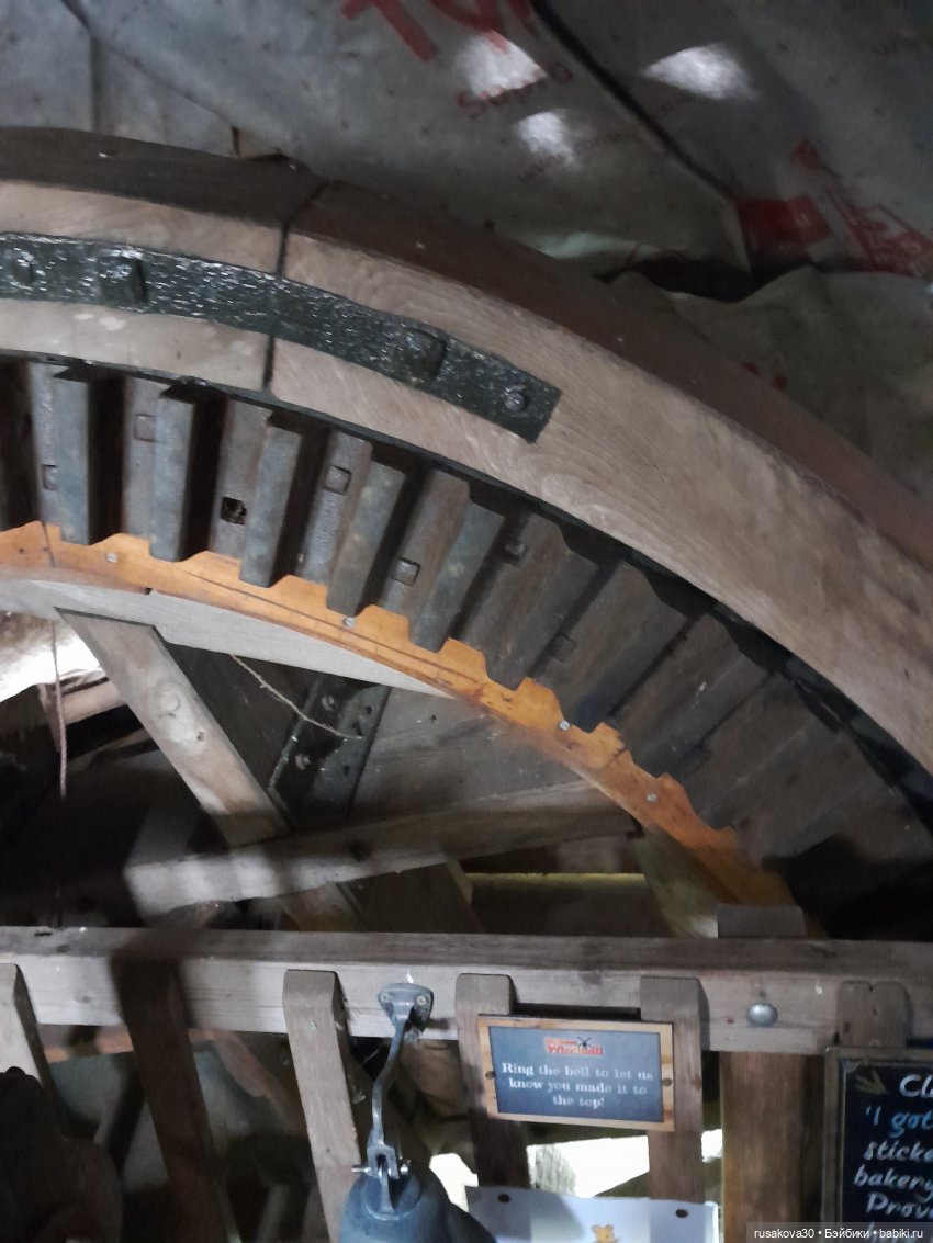 Баська и лисята на мельнице-музее Грейт-Бирчем (фото 9)