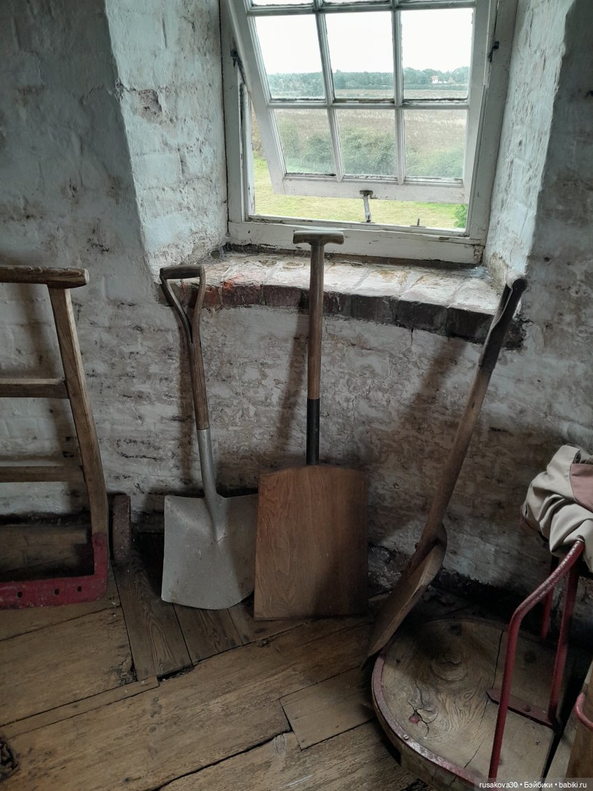 Баська и лисята на мельнице-музее Грейт-Бирчем