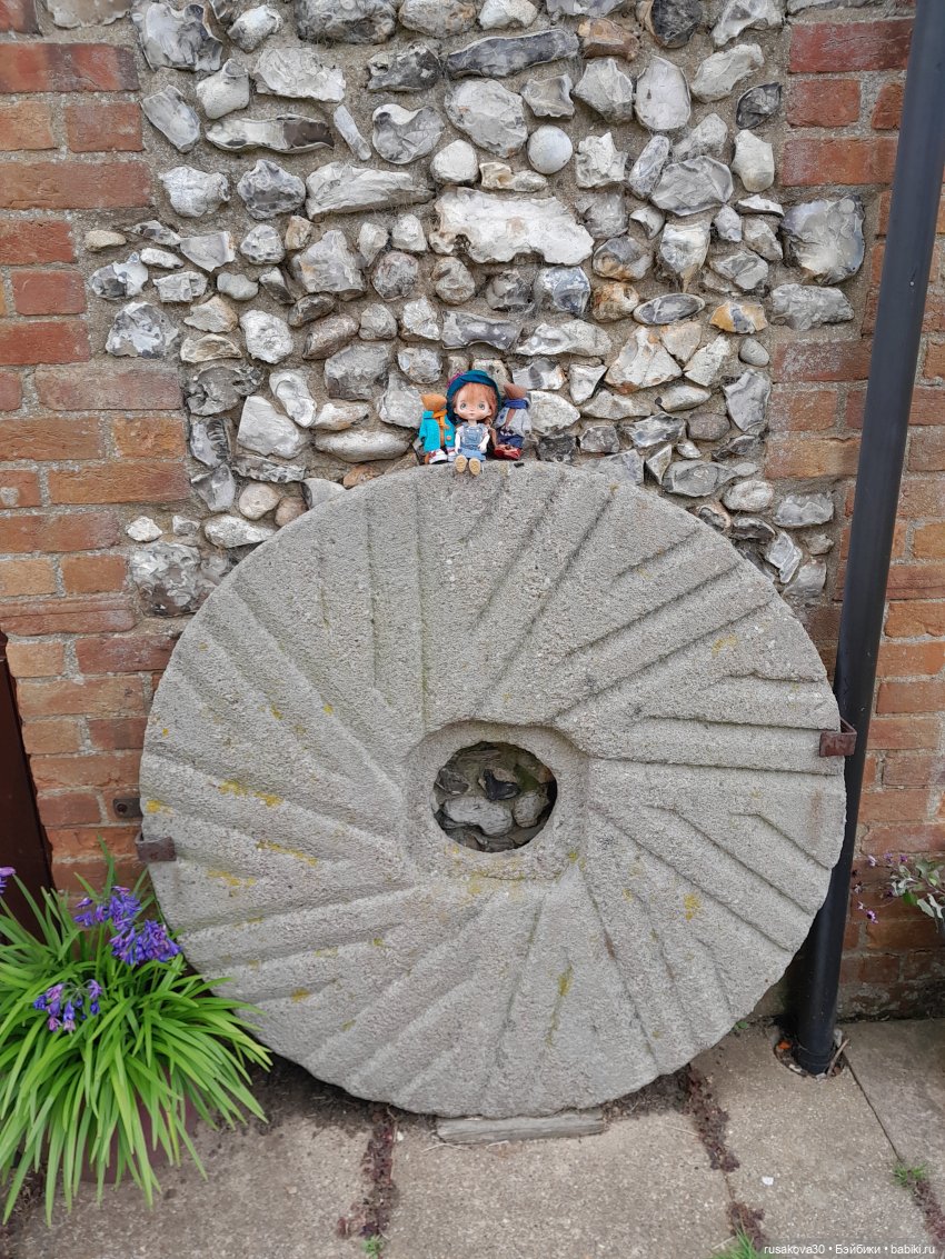 Баська и лисята на мельнице-музее Грейт-Бирчем