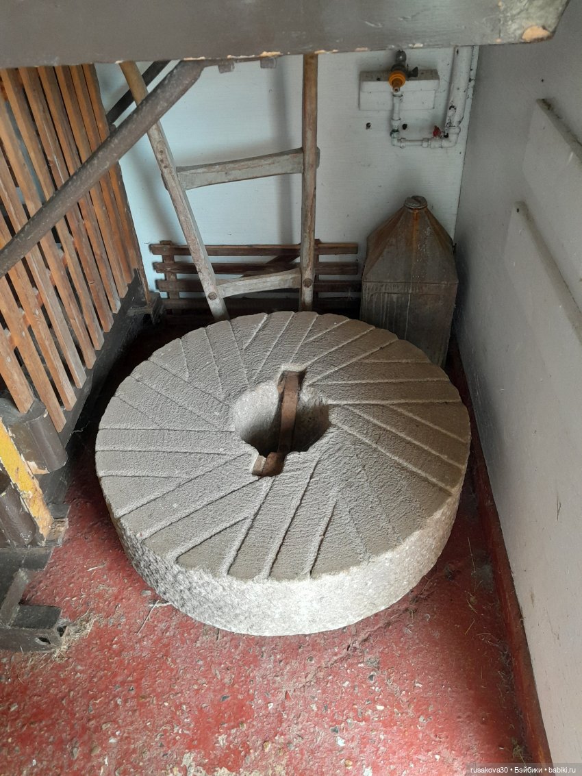 Баська и лисята на мельнице-музее Грейт-Бирчем