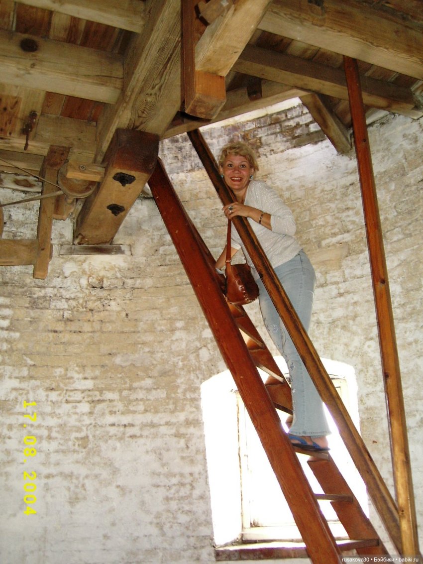 Баська и лисята на мельнице-музее Грейт-Бирчем