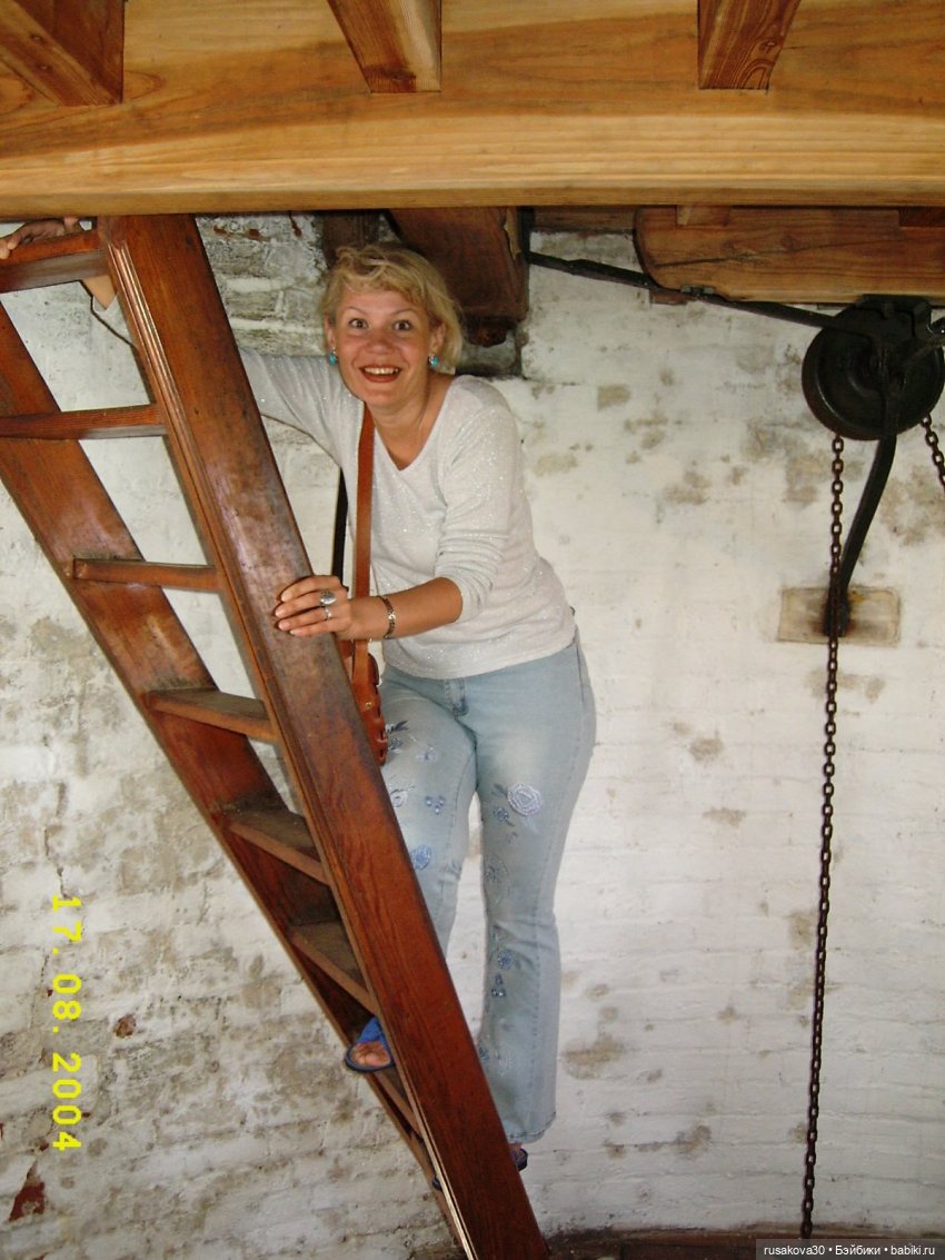 Баська и лисята на мельнице-музее Грейт-Бирчем