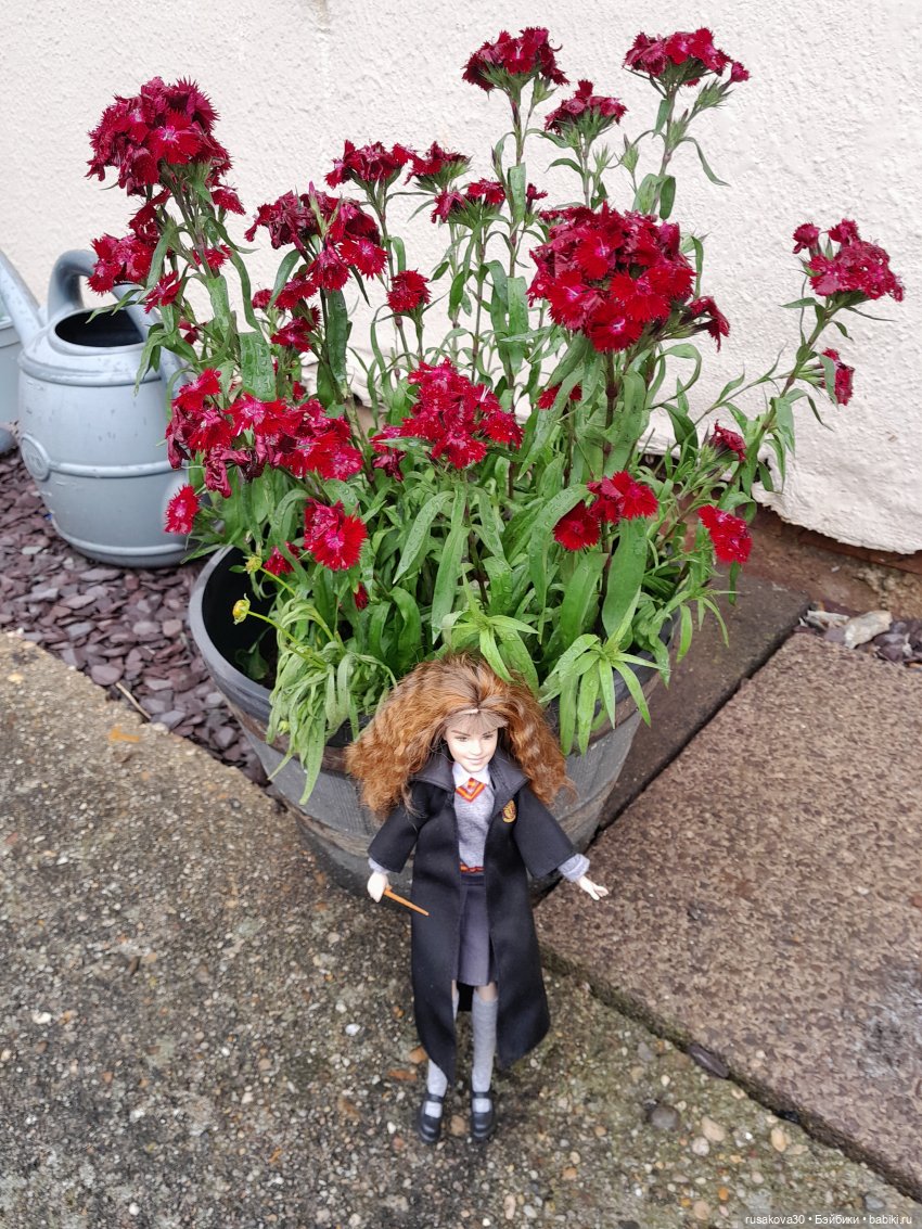 Гермиона путешествует — Куклы Harry Potter (Гарри Поттер) Mattel: Wizarding World